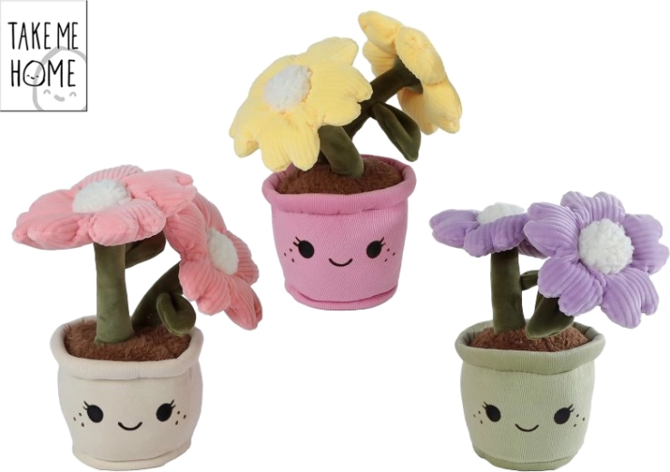 Plys stueplante Take Me Home 22 cm