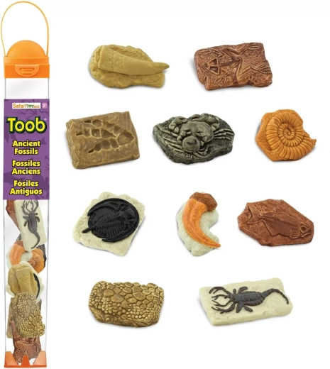 Safari Ltd. Toobs tube med fossiler