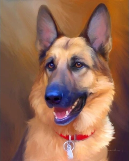 Diamantmosaik (diamond painting) – schæferhund 30 × 40 cm