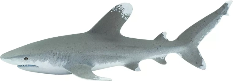 Figur af langfinnet oceanisk hvidtippet haj Safari Ltd. - 1 stk.