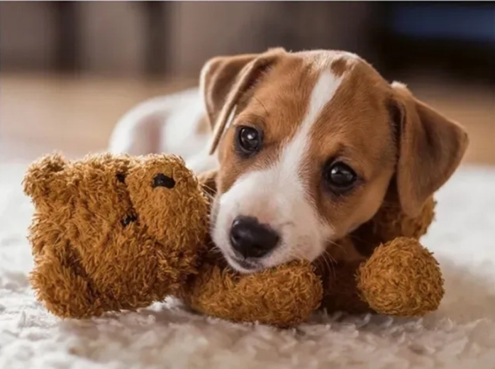 Ravensburger puslespil Varmt kram 500 brikker