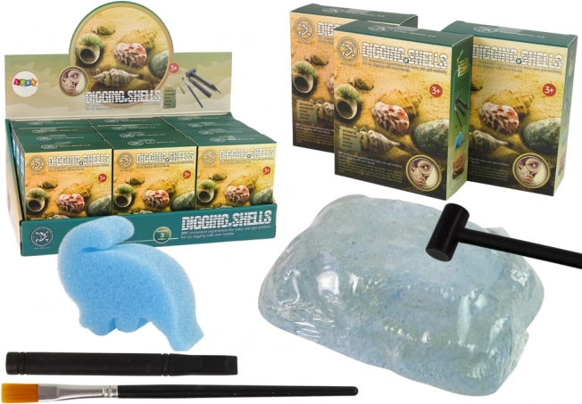 Arkæologisæt – udgravning af muslinger, 3 overraskelsesmodeller