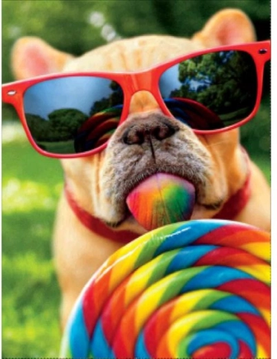 Diamantmaling – hund med briller 30 × 40 cm