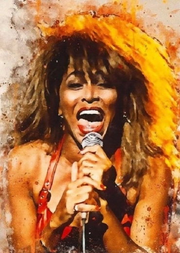Norimpex diamantmaling Tina Turner synger 30 × 40 cm