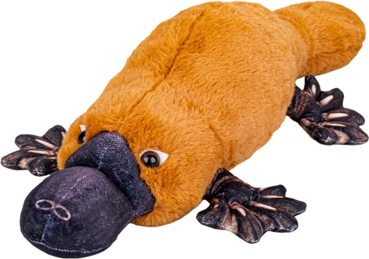 Plys næbdyr 50 cm – superblød liggende krammebamse