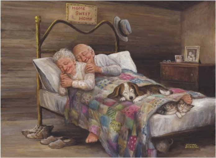 Puslespil Alle steder er godt, hjemme bedst 1000 brikker