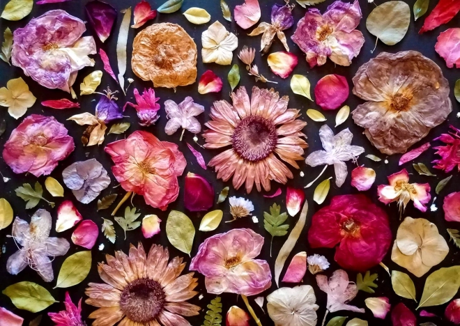 Enjoy puslespil lyserød 1000 brikker