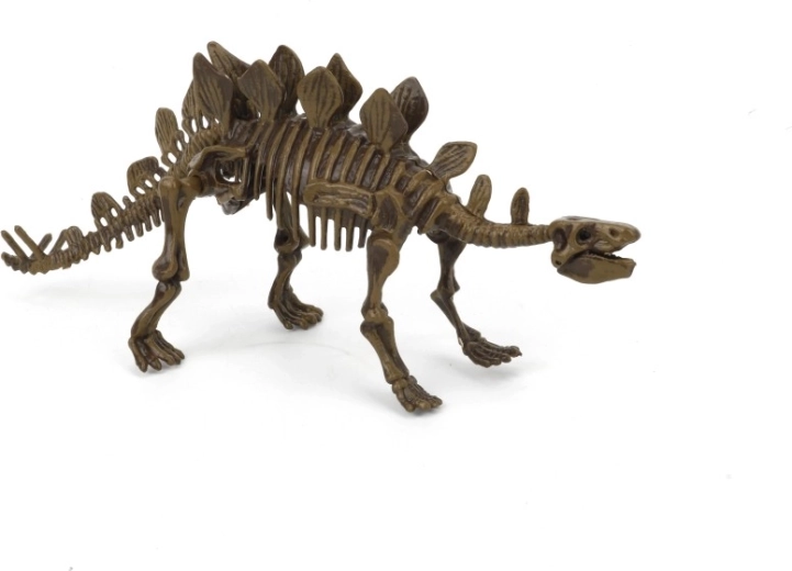 Arkæologisk sæt 3D Stegosaurus