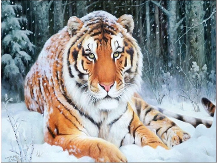 Diamantmaling Tiger liggende i sne 30 × 40 cm