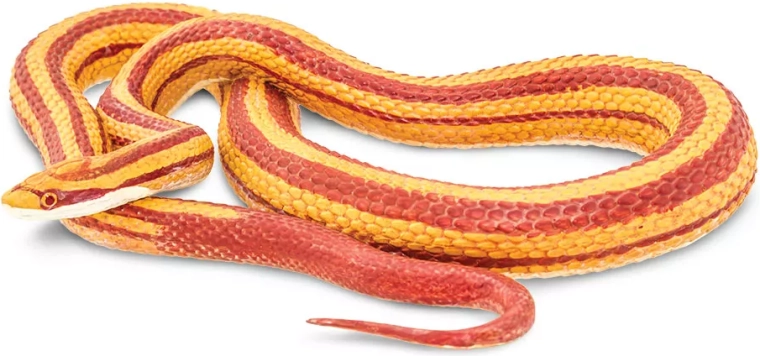 Figur af rød kornsnog (corn snake) Safari Ltd.