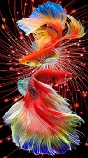 Diamantmaleri Røde fisk 30 × 40 cm