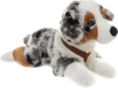 Plys australsk hyrdehund 57 cm