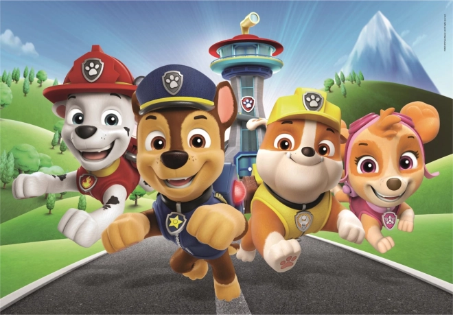 Puslespil 60 brikker PAW Patrol Super Color