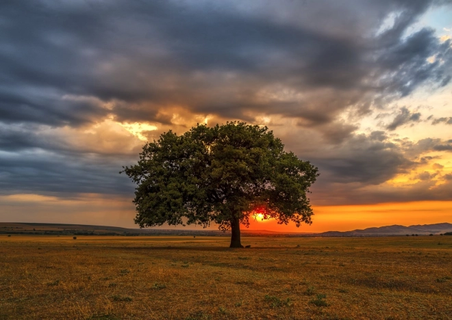 Puslespil Skumring 1000 brikker ENJOY