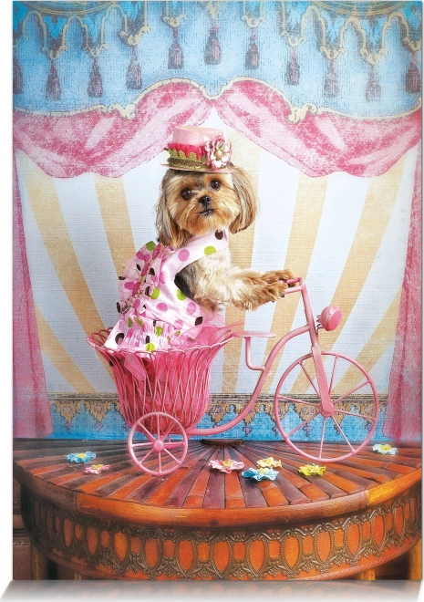 Puzzle Drømmer Rejse 500 brikker