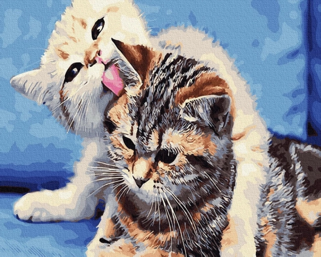Diamantmaleri Kattevenskab 30 × 40 cm