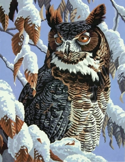 Norimpex Mal efter tal Uglen på den snedækkede gren 40 × 50 cm