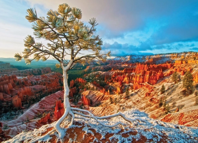 Puslespil EUROGRAPHICS vinterdæmring, Bryce Canyon (1000 brikker)