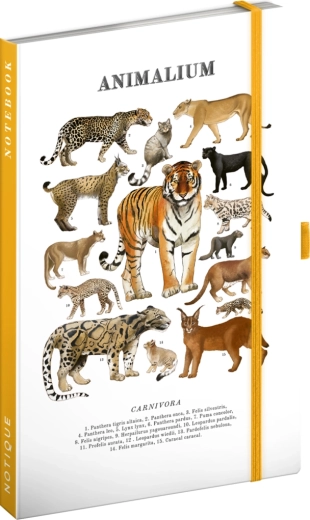 Notique Notes Animalium – kattedyrene (linjeret notesbog) 13 × 21 cm