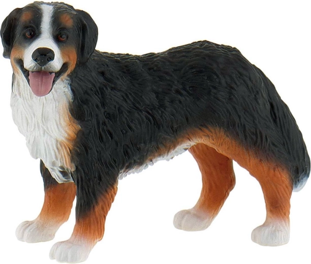 Berner Sennenhund