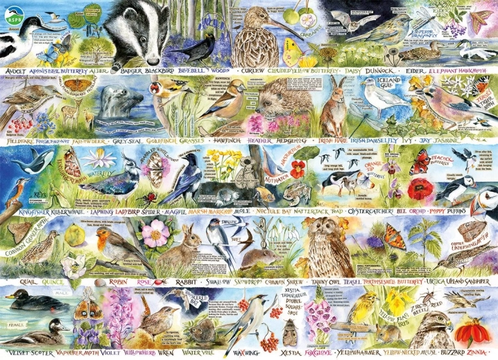 Puslespil GIBSONS RSPB forårets naturmagi 1000 brikker