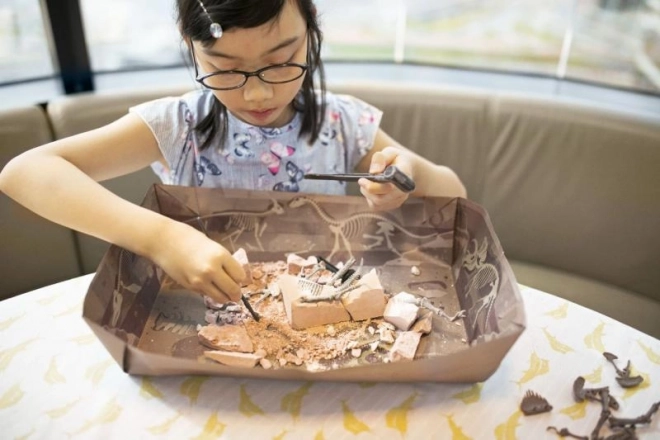 Dinoknogle-skelet – Brachiosaurus