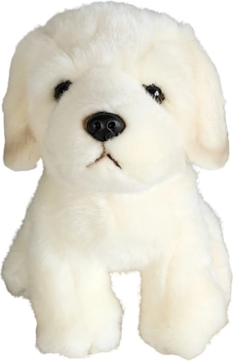 Plys-hund golden retriever 19 cm