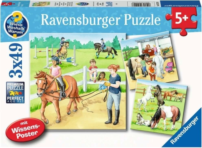 Ravensburger puslespil: En dag hos hestene 3×49 brikker