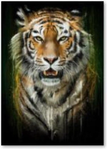 Diamantbroderi (diamond painting) tiger - 30 × 40 cm