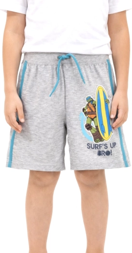 Bermudashorts Teenage Mutant Ninja Turtles i grå farve