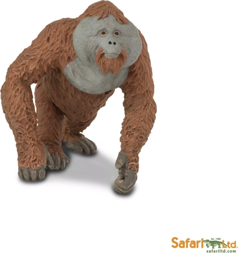 Safari Ltd. orangutang – han
