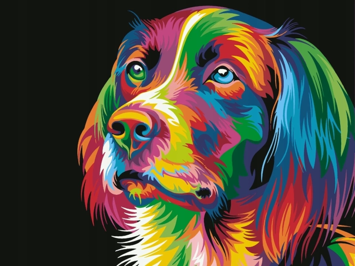 Norimpex Mal efter tal Farverig hund 40 × 50 cm