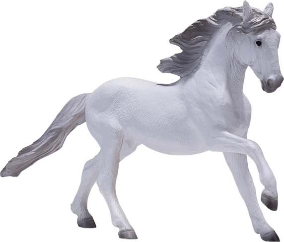 Mojo Lusitano hvid hest