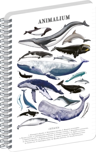 Notique A5 spiralblok Animalium Under havet, linjeret