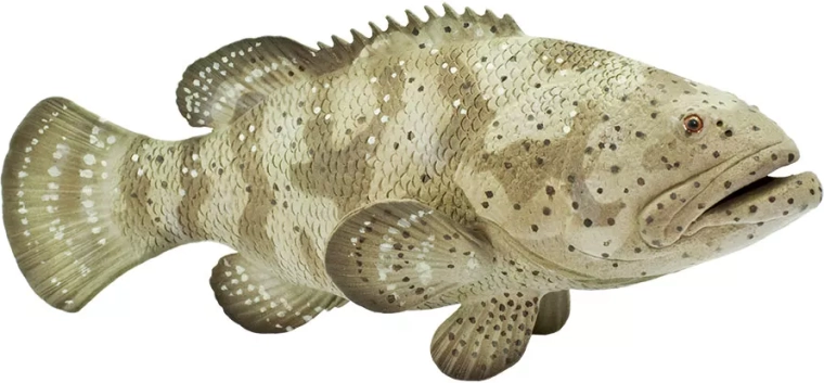 Safari Ltd. goliath-grouper-figur – 1 stk.