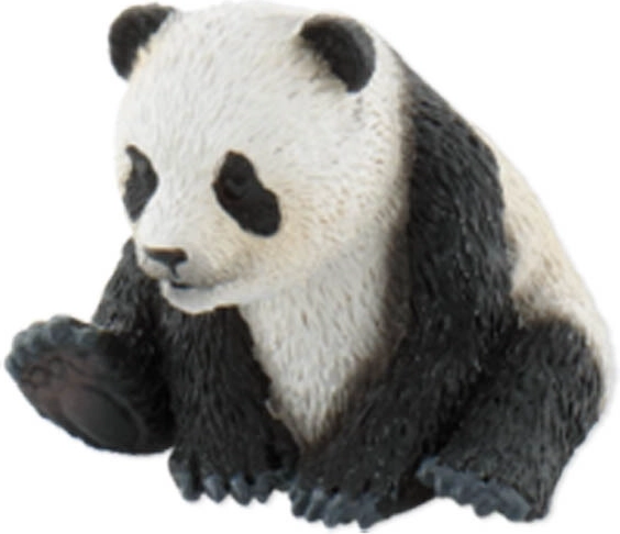 Panda unge