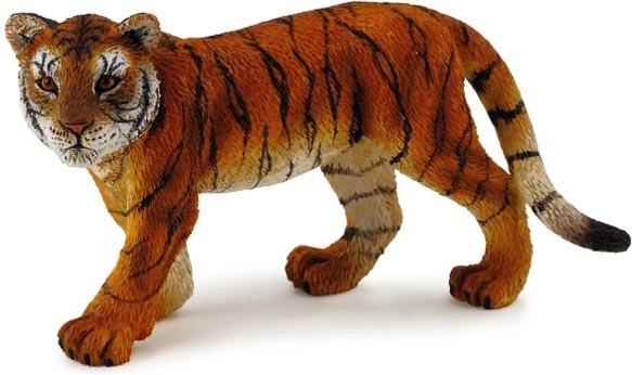 Collecta tigerunge stående