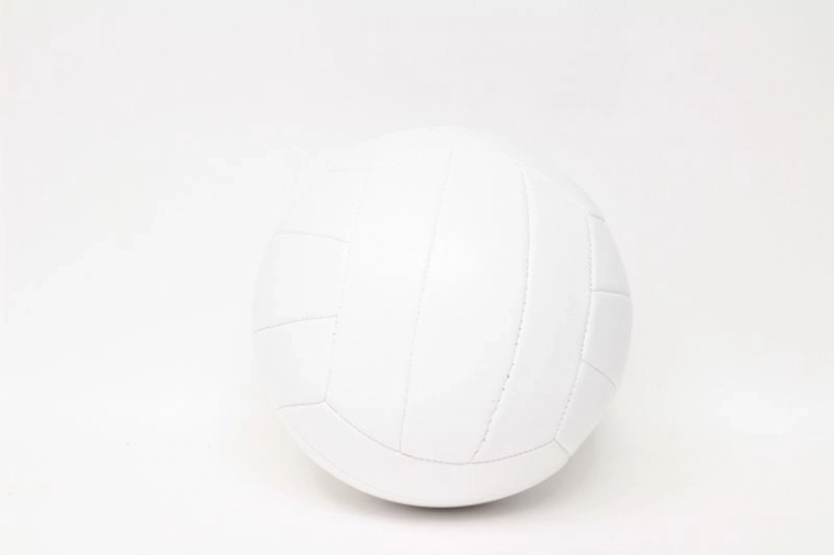 Enero Pro beachvolleyball bold hvid