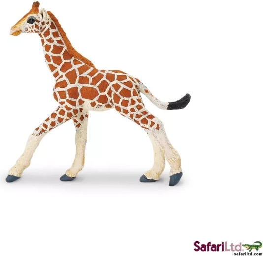 Safari Ltd. unge af netgiraf