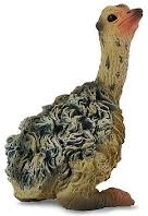 Siddende Strudsekylling Collecta