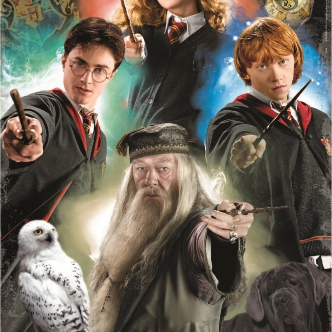 Puslespil Harry Potter 500 brikker EDUCA