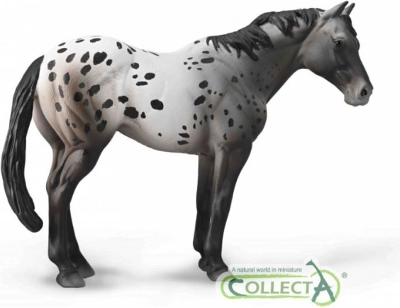 figur af Appaloosa-hest blue roan COLLECTA