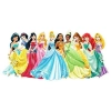 Disney Princess