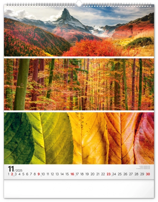 NOTIQUE Vægkalender Palet 2025, 48 x 56 cm