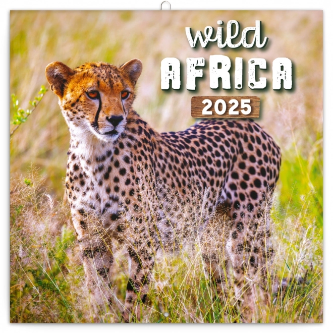 Noteskalender Vilde Afrika 2025, 30 × 30 cm
