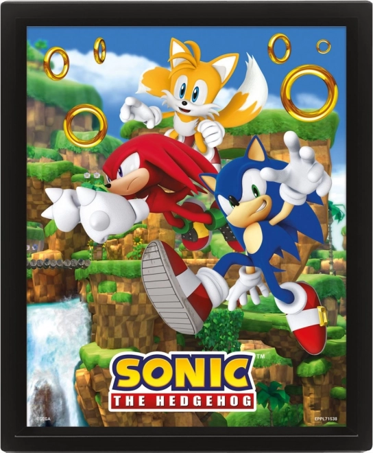 3D billede SONIC – Catching Rings