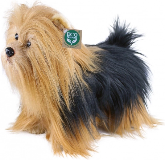 Realistisk lang pels og søde detaljer