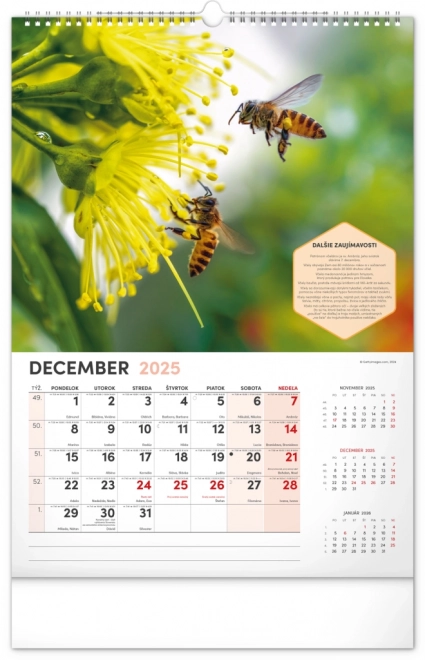 NOTIQUE Vægkalender for Biavl 2025, 33 x 46 cm