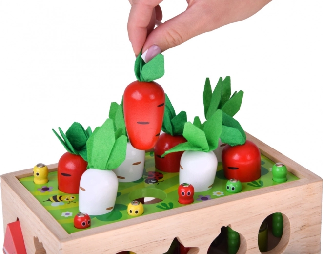 Høst af gulerødder og radiser med filt-toppe