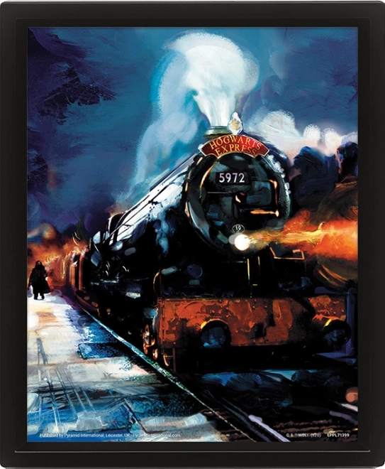 3D-billede Harry Potter – Hogwarts-ekspressen